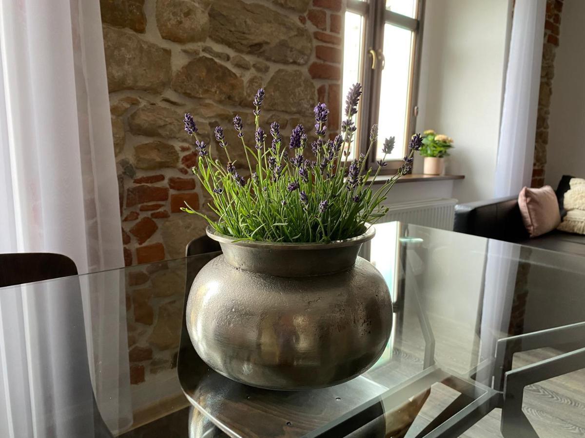 Apartament Przy Ratuszu Kłodzko Dış mekan fotoğraf