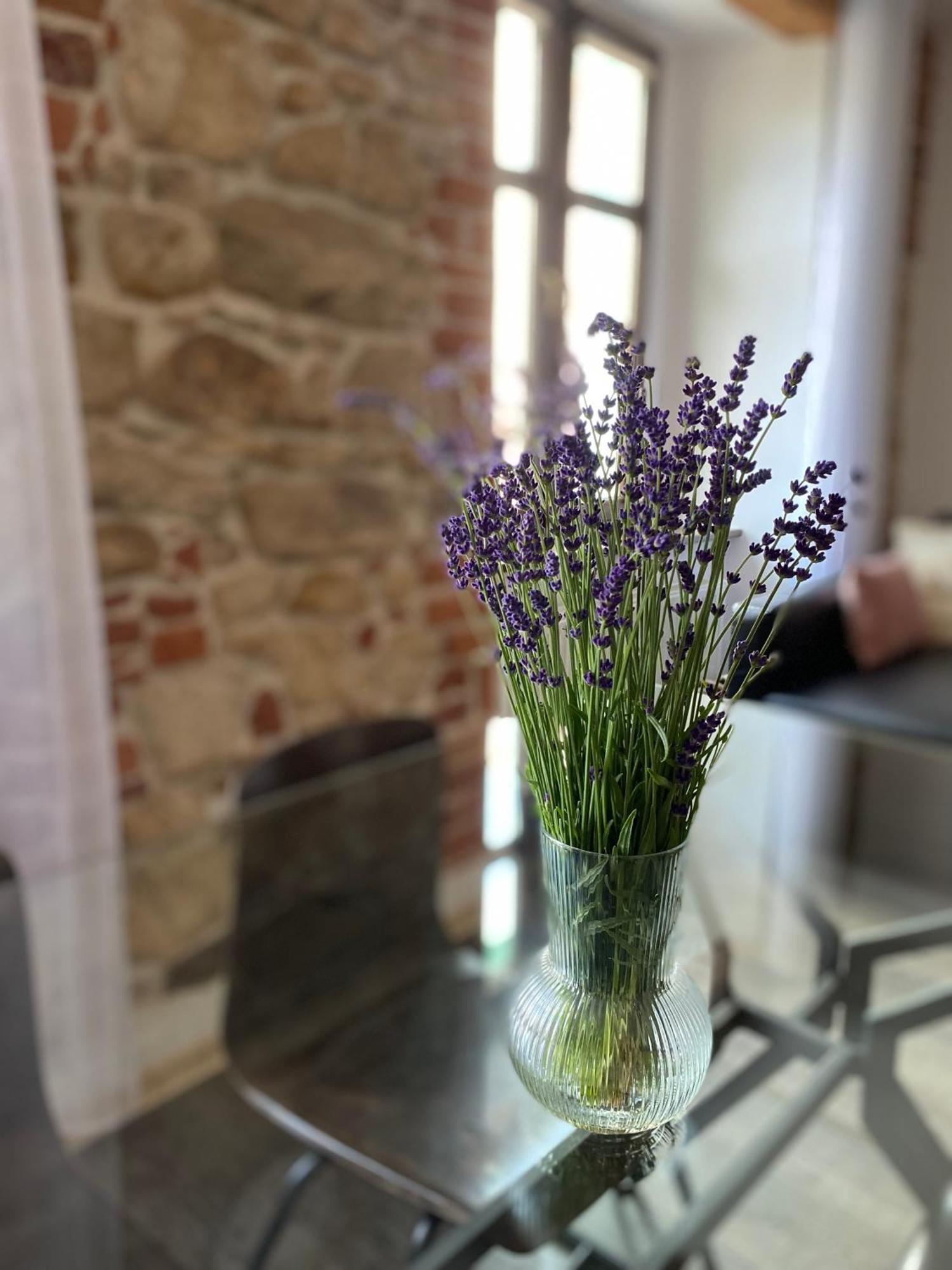 Apartament Przy Ratuszu Kłodzko Dış mekan fotoğraf